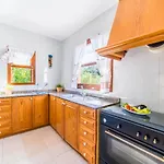 Landhuis Ideal Mallorca - Roig Gran Pollença